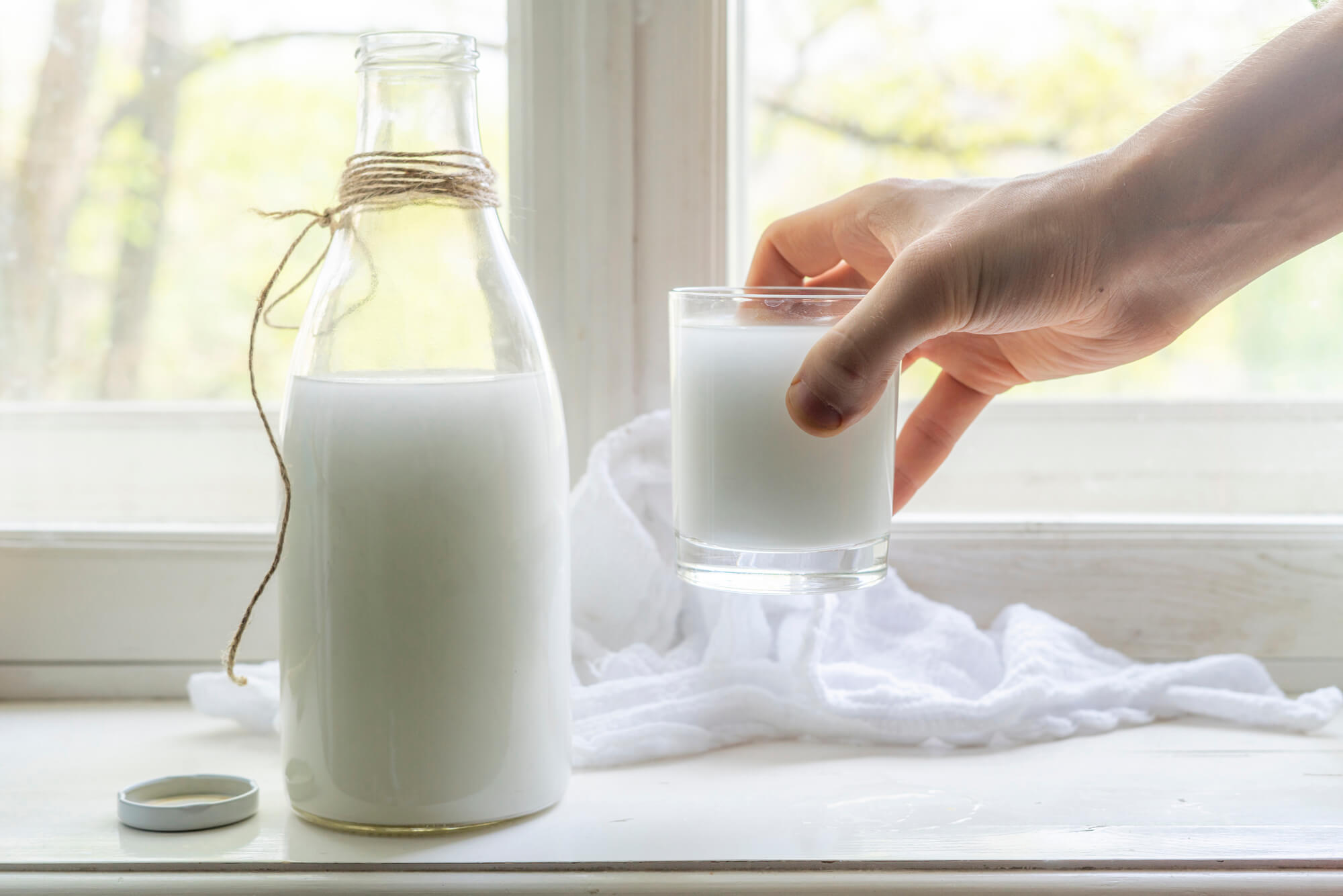The Health Benefits of Raw Milk